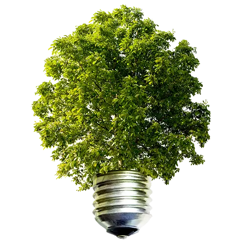 Sustainable-Fine-ST.webp